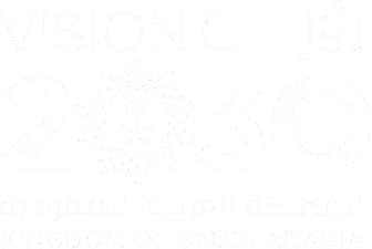 vision 3030